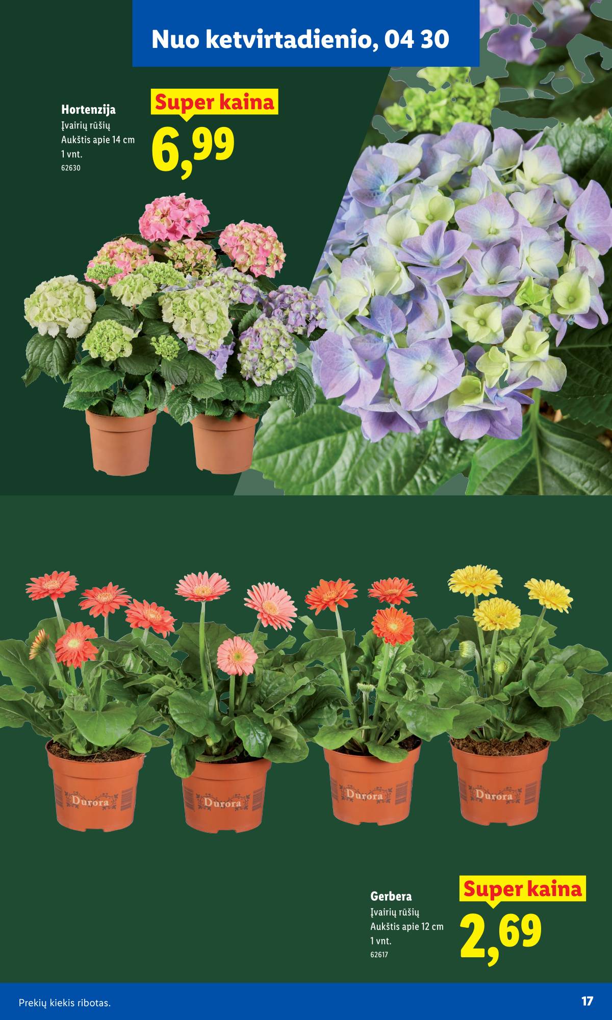 Lidl - Nuo pirmadienio, 03 30 17 puslapis