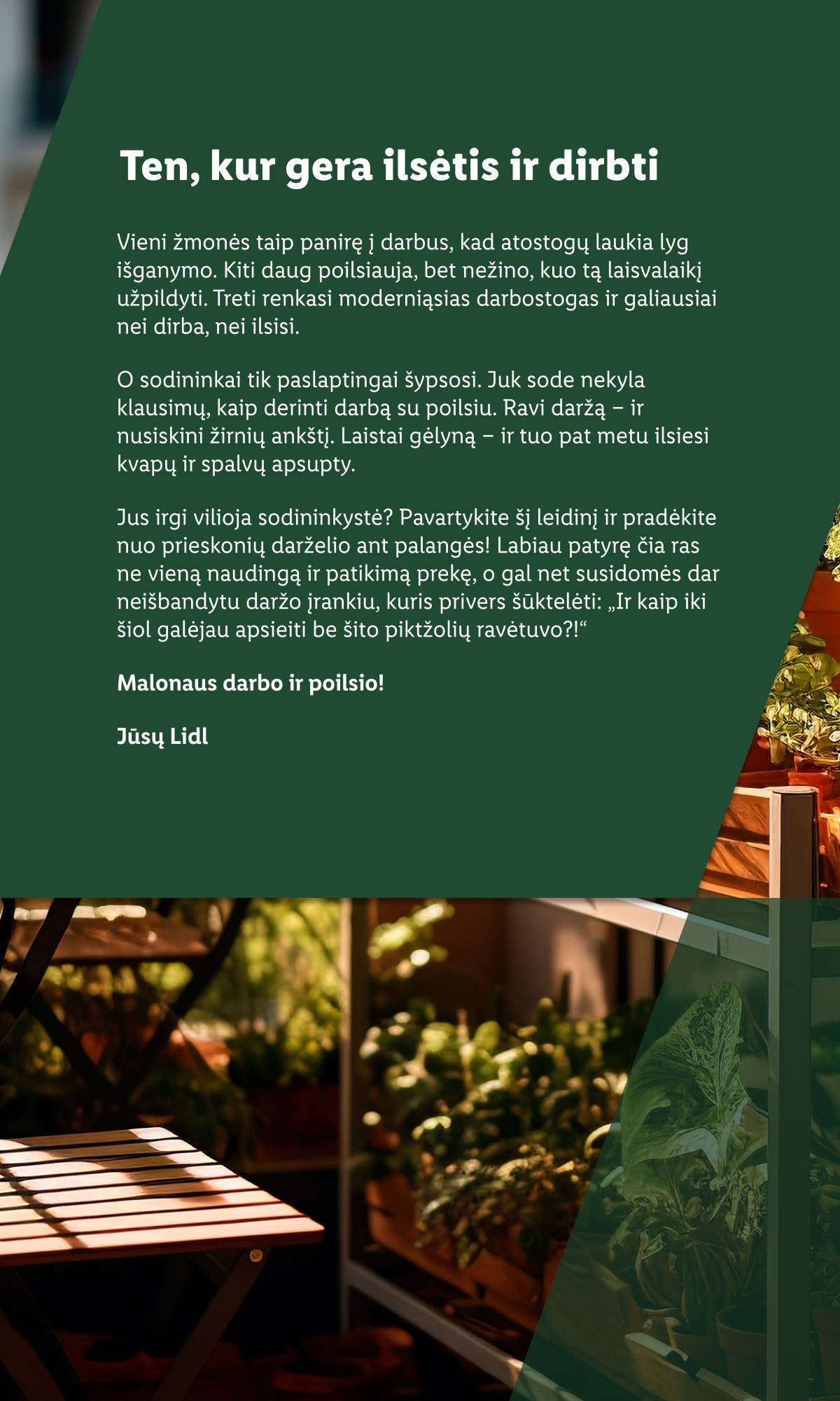 Lidl - Nuo pirmadienio, 03 30 2 puslapis