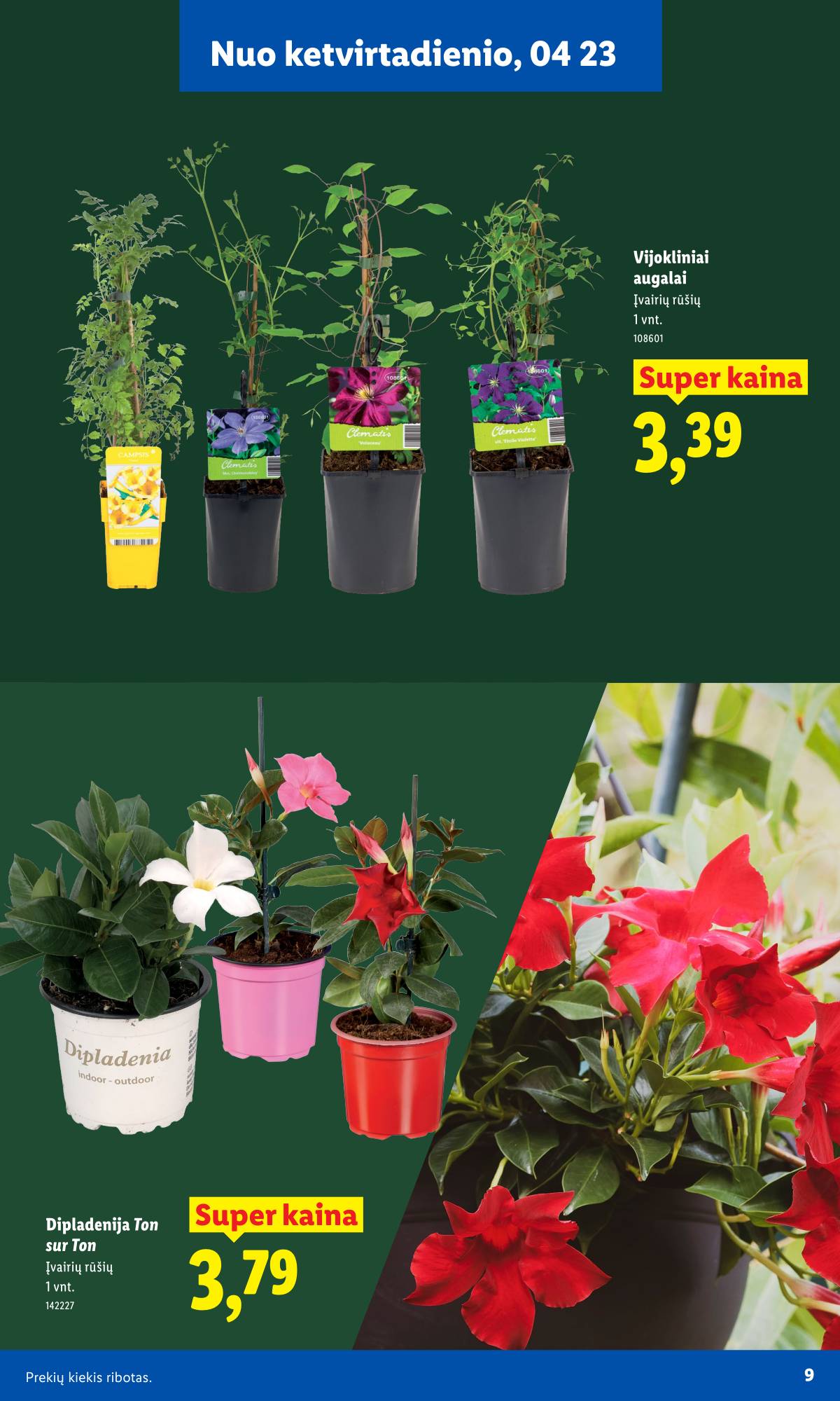 Lidl - Nuo pirmadienio, 03 30 9 puslapis