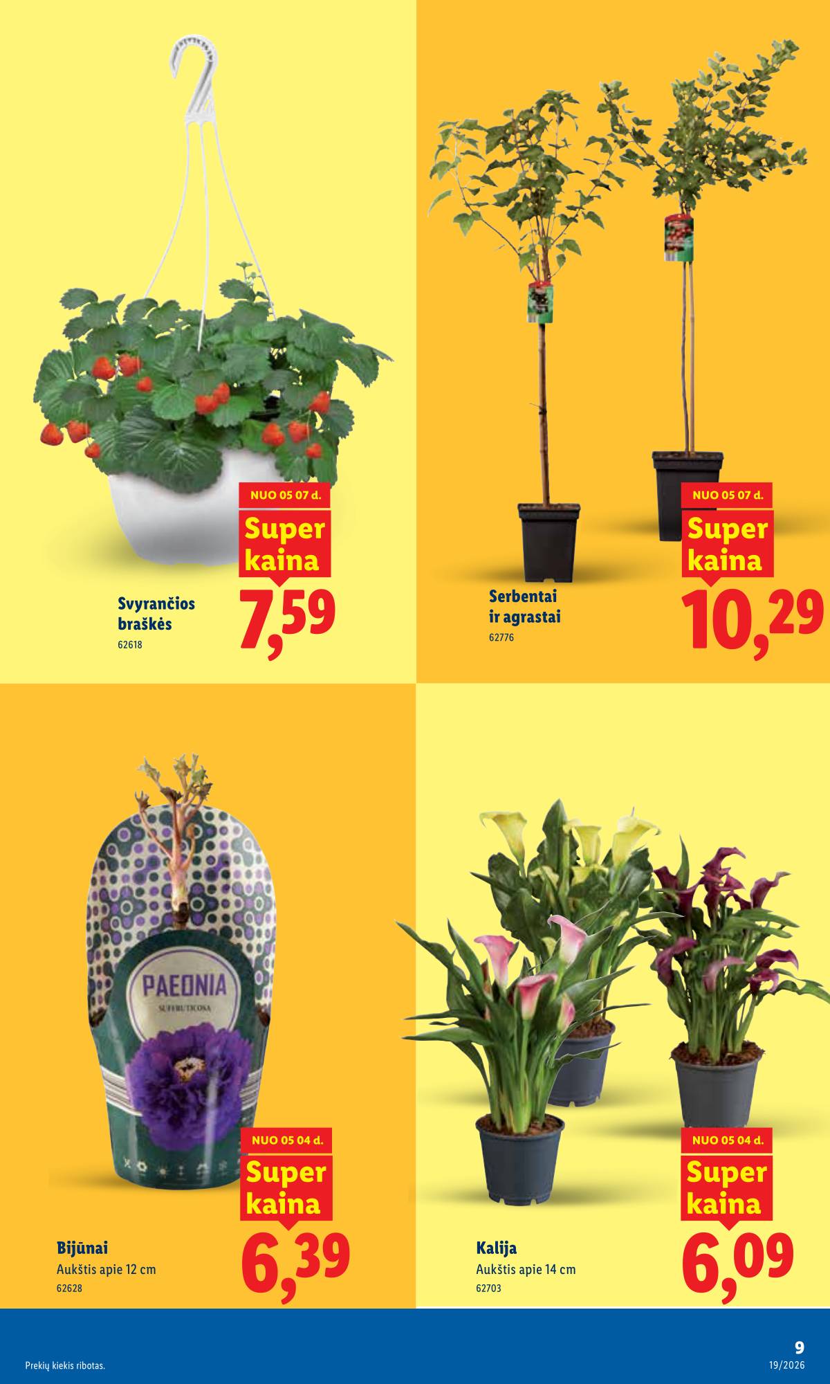 Lidl - LIDL SAVAITĖS Maisto prekių akcijų leidinys 9 puslapis