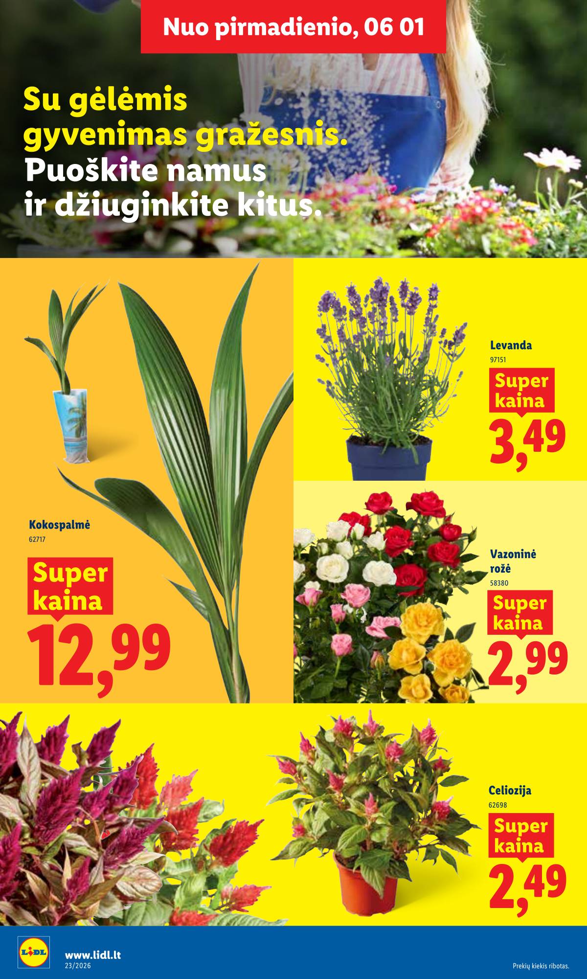 Lidl - LIDL SAVAITĖS Maisto prekių akcijų leidinys 8 puslapis