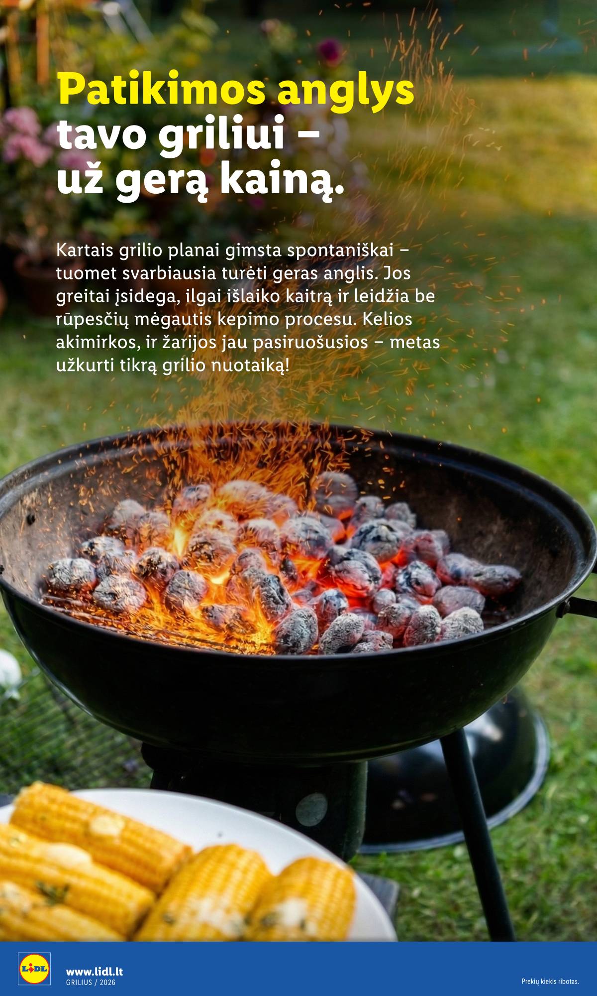 Lidl - Antrasis LIDL nuo Pirmadienio akcijų leidinys 34 puslapis