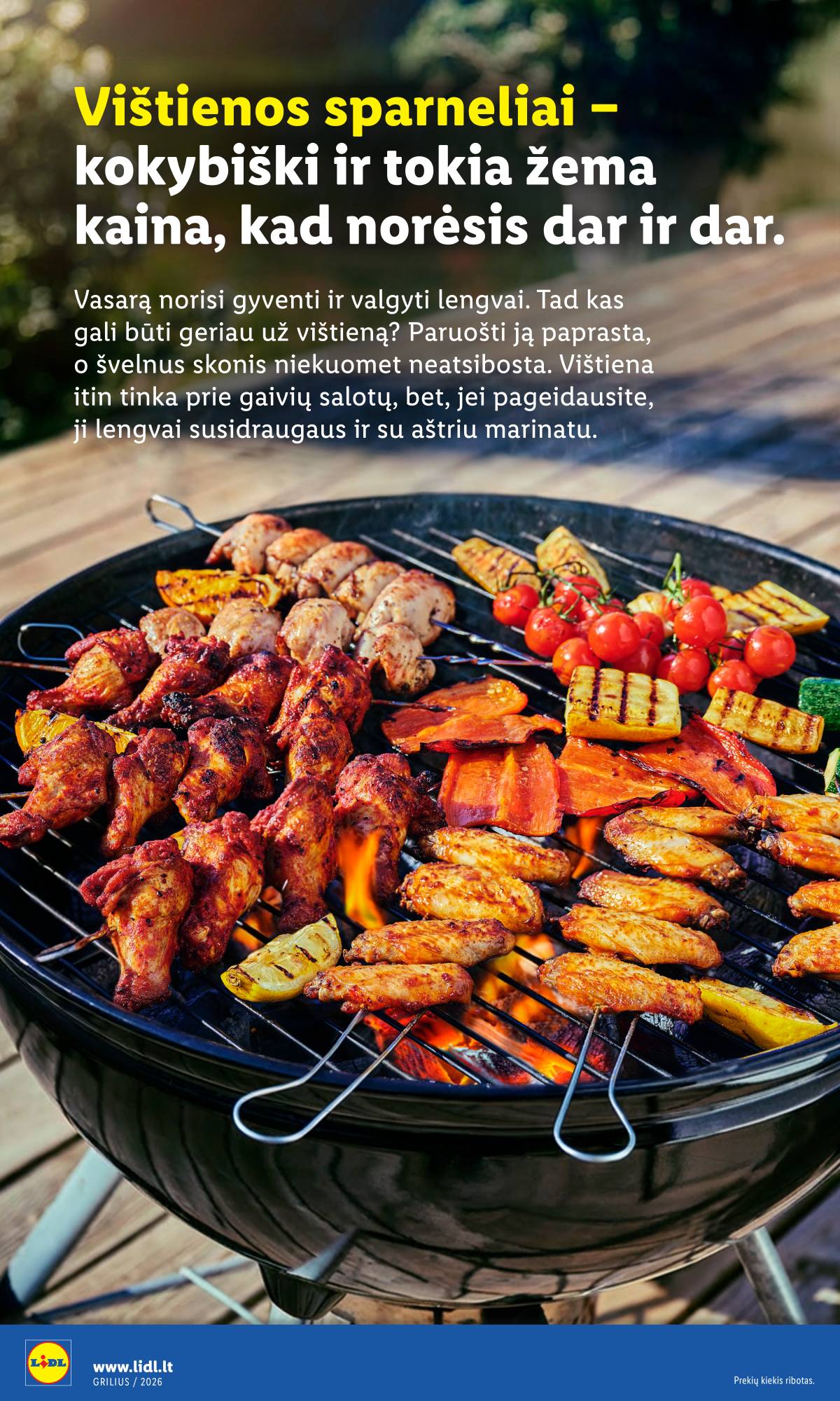Lidl - Antrasis LIDL nuo Pirmadienio akcijų leidinys 6 puslapis