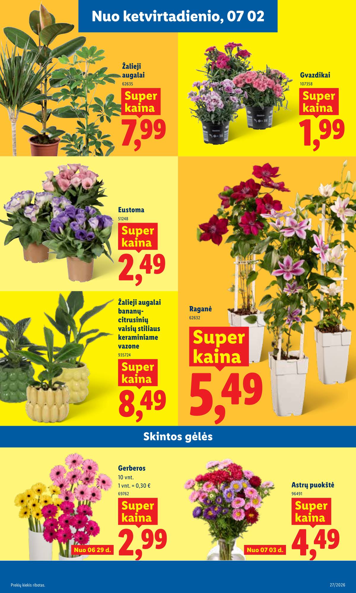 Lidl - LIDL SAVAITĖS Maisto prekių akcijų leidinys 9 puslapis