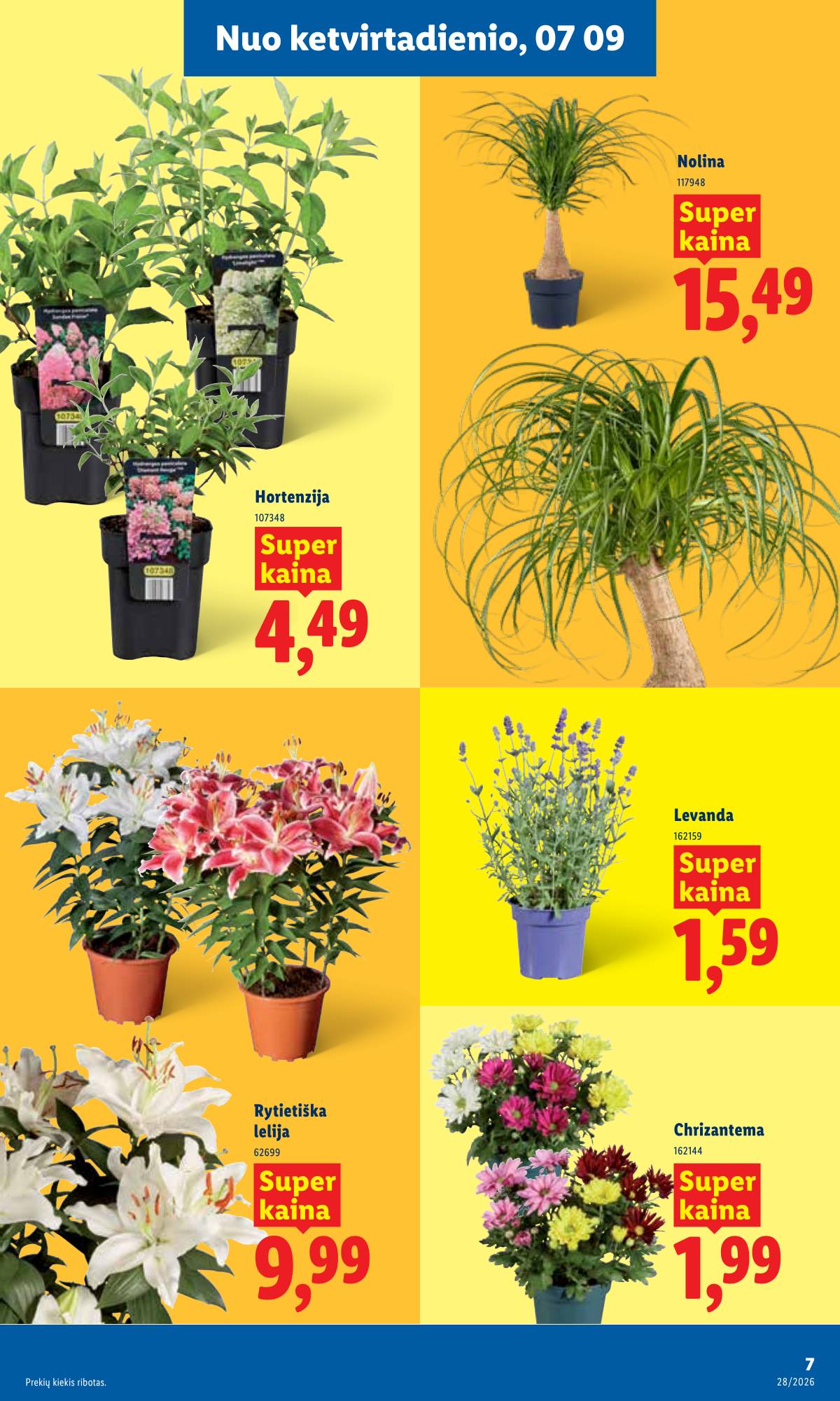 Lidl - LIDL SAVAITĖS Maisto prekių akcijų leidinys 7 puslapis