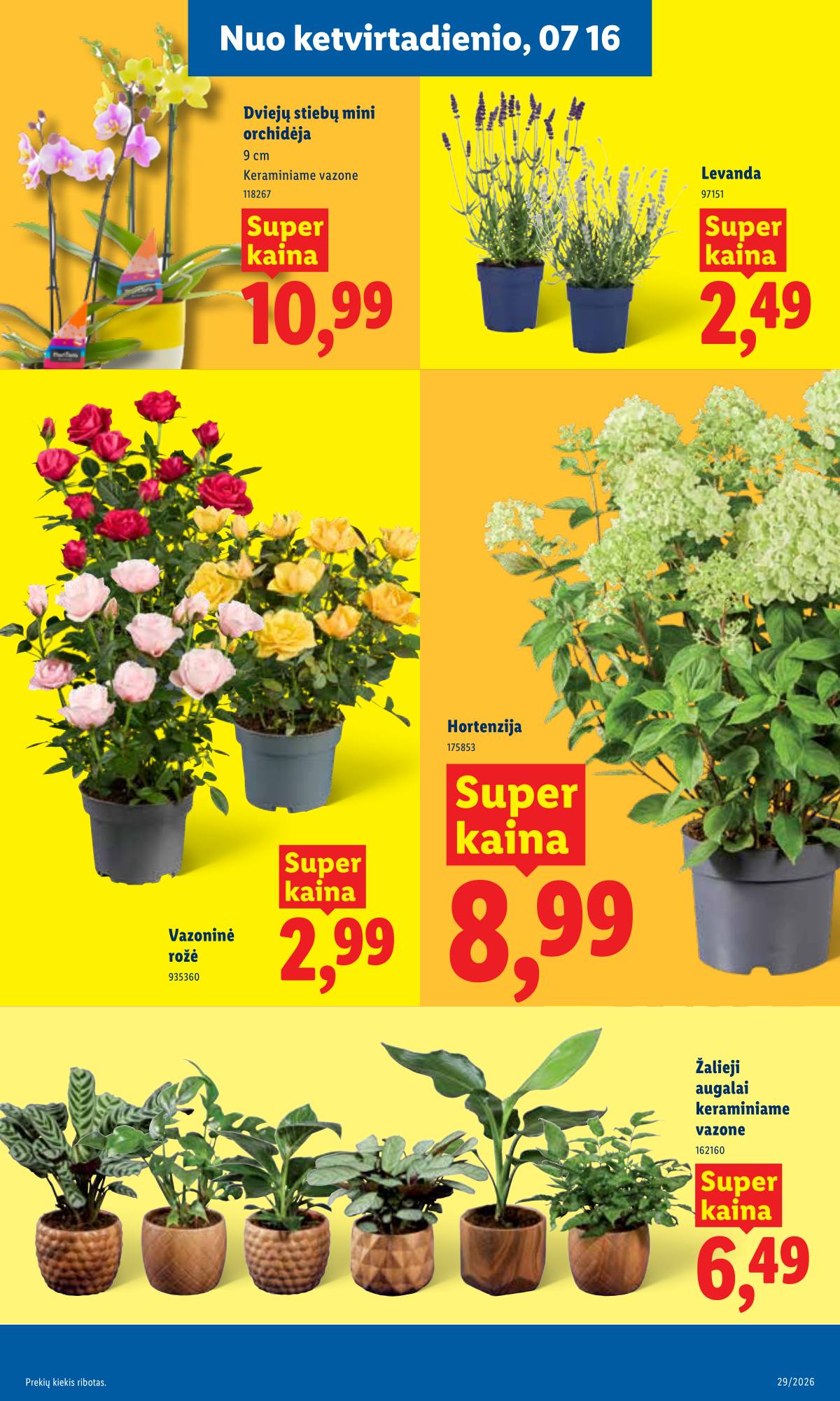 Lidl - LIDL SAVAITĖS Maisto prekių akcijų leidinys 9 puslapis