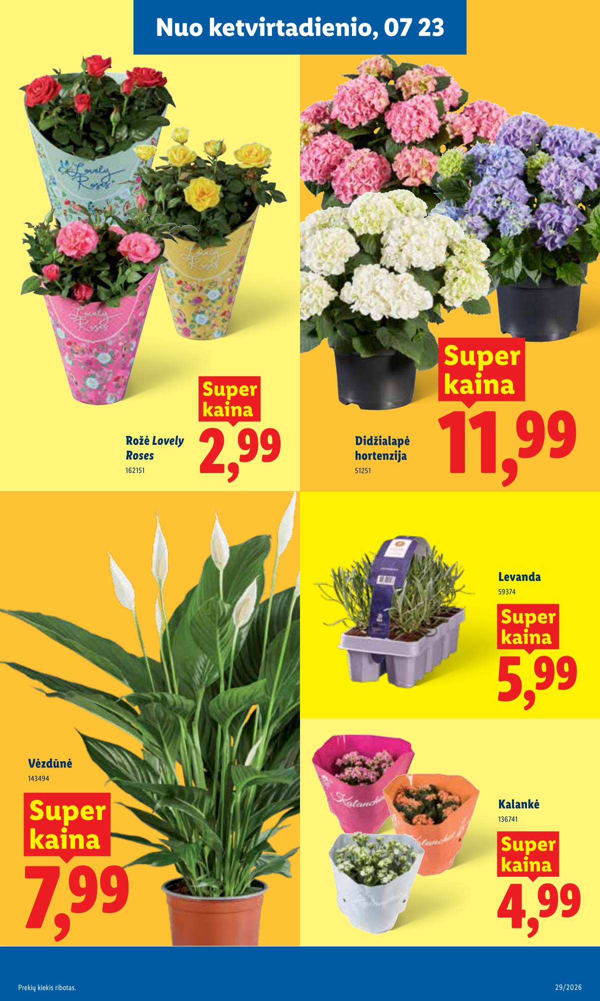 Lidl - LIDL SAVAITĖS Maisto prekių akcijų leidinys 9 puslapis