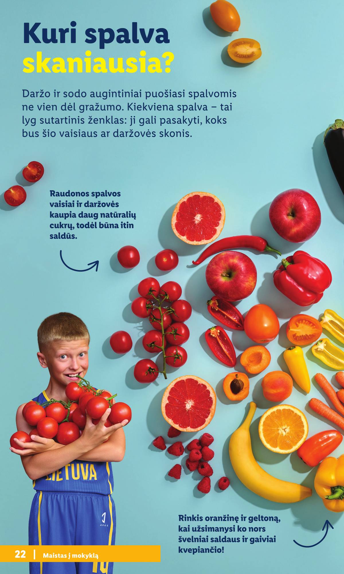 Lidl - Mokyklos prekių katalogas 2026 22 puslapis
