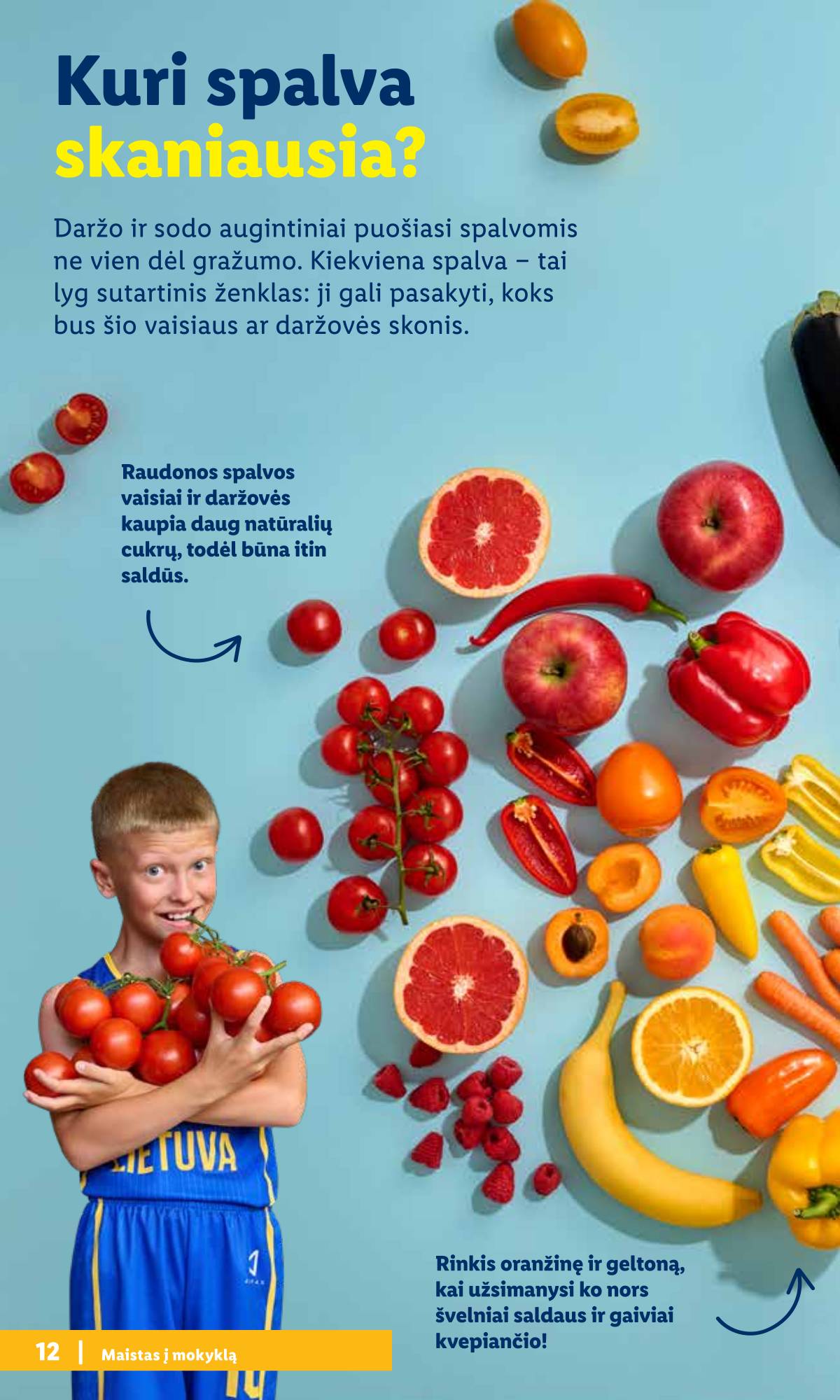 Lidl - Mokyklos prekių katalogas 2026 10 puslapis