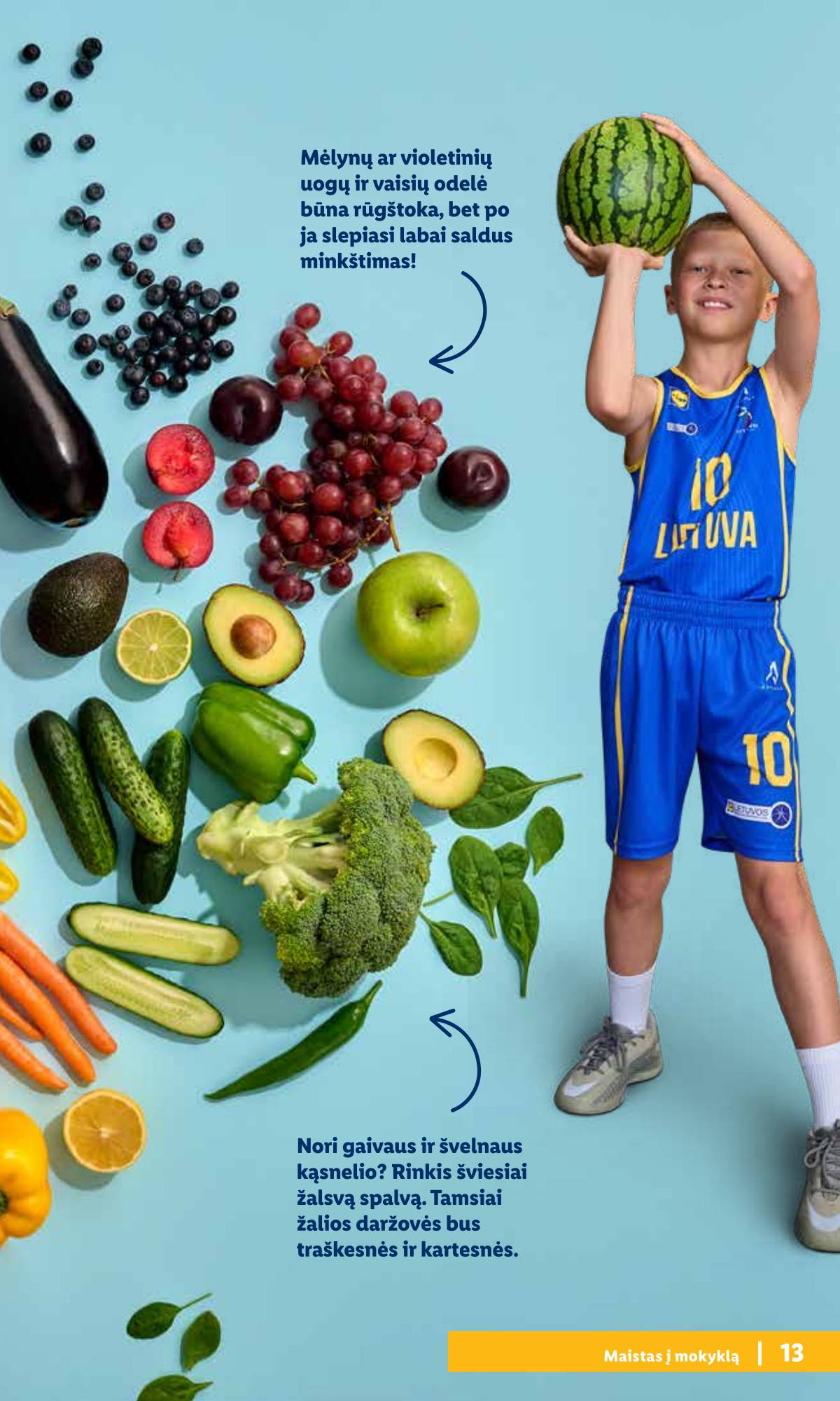 Lidl - Mokyklos prekių katalogas 2026 11 puslapis
