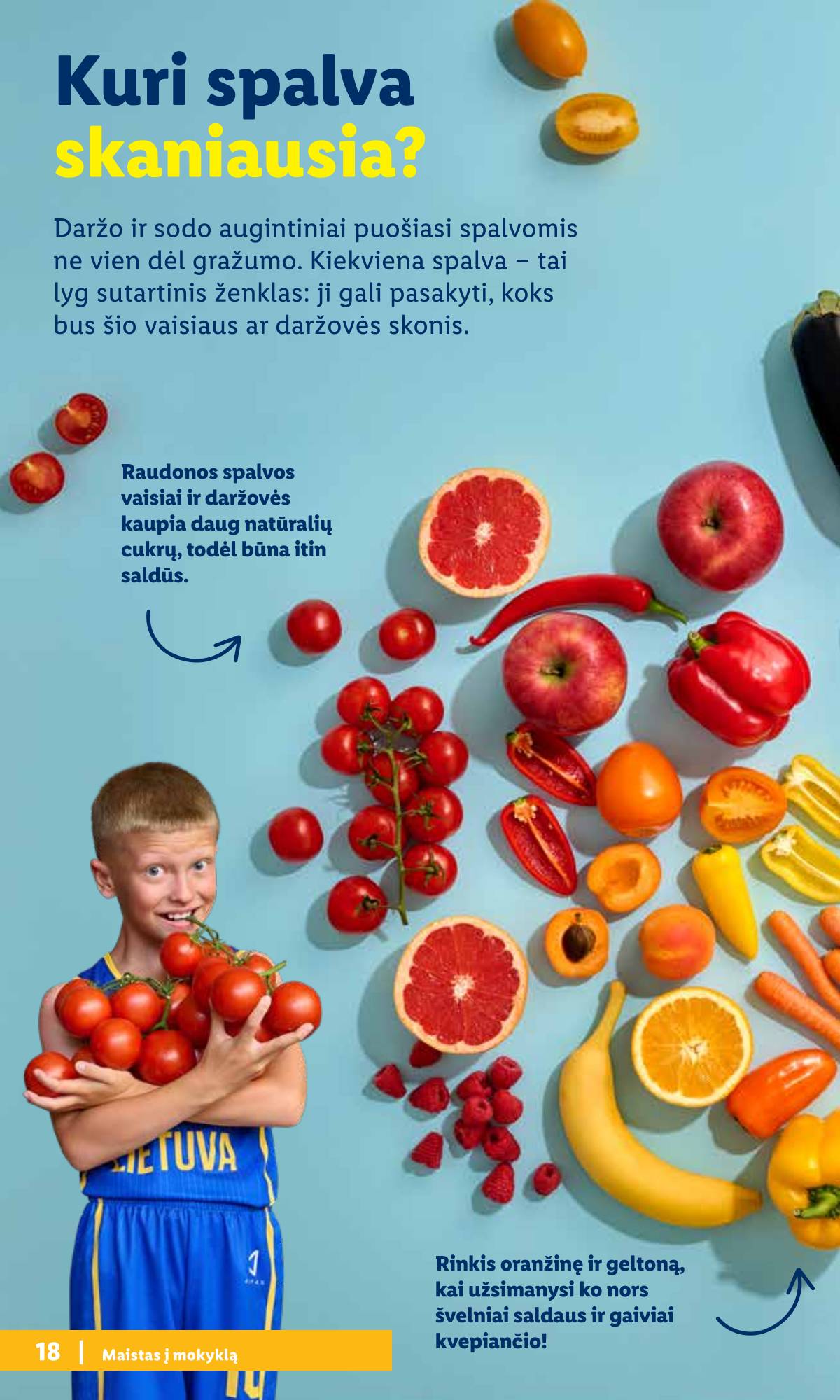 Lidl - Mokyklos prekių katalogas 2026 18 puslapis