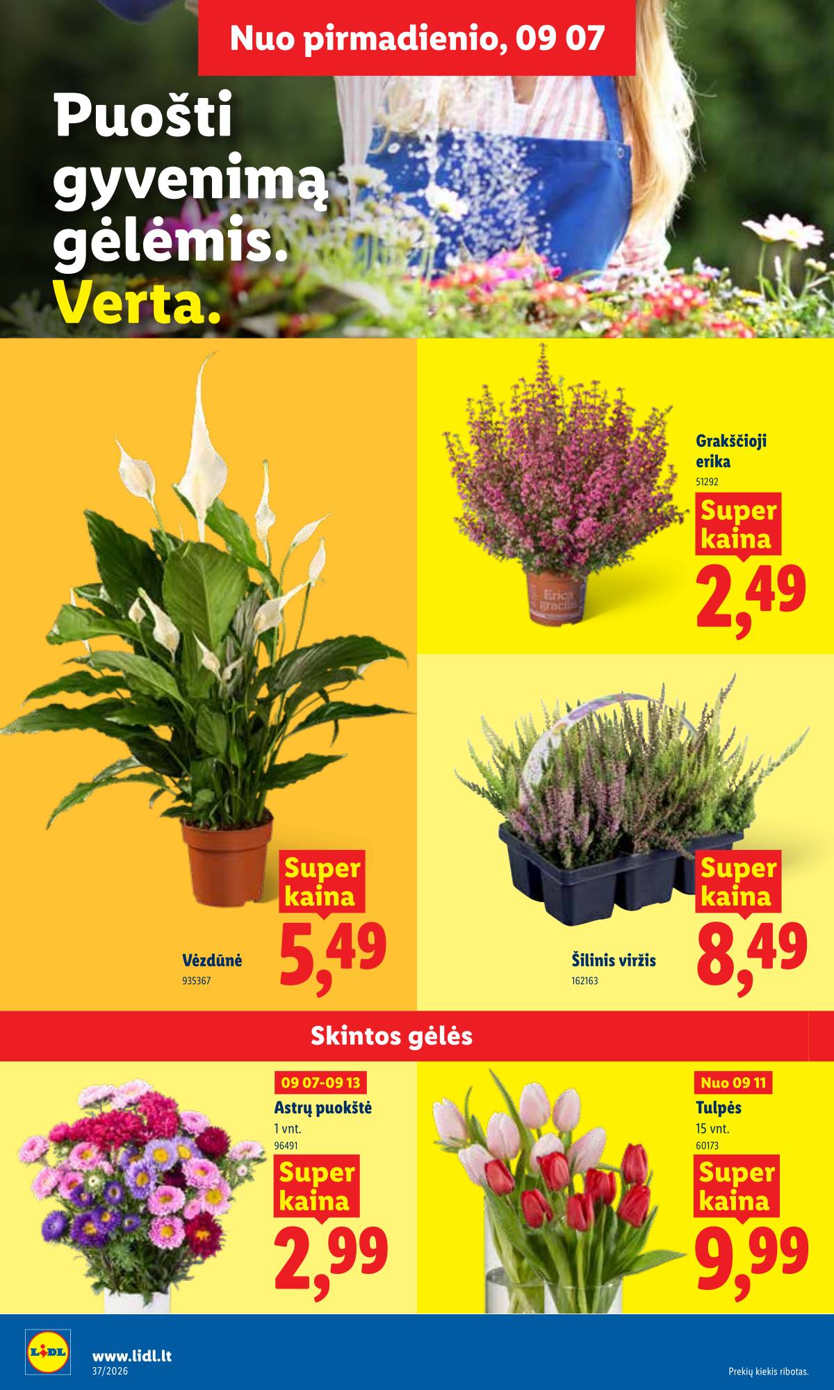 Lidl - LIDL SAVAITĖS Maisto prekių akcijų leidinys 20 puslapis
