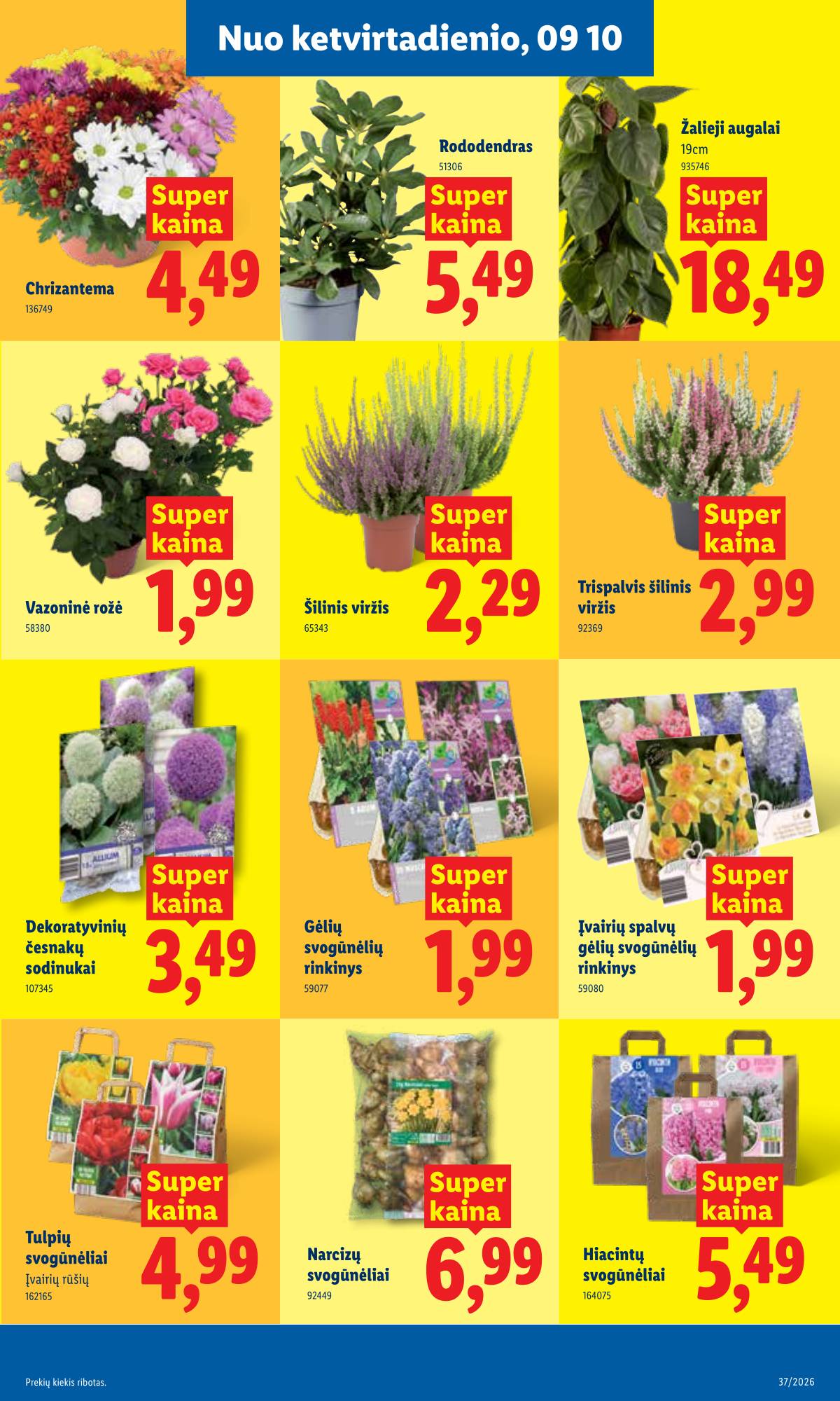 Lidl - LIDL SAVAITĖS Maisto prekių akcijų leidinys 21 puslapis
