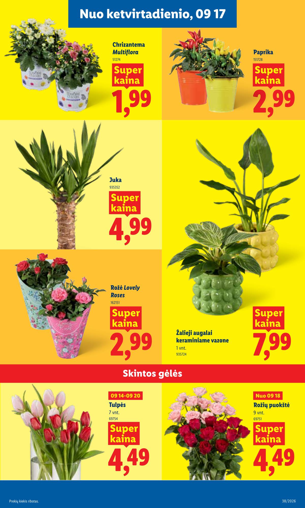 Lidl - LIDL SAVAITĖS Maisto prekių akcijų leidinys 21 puslapis
