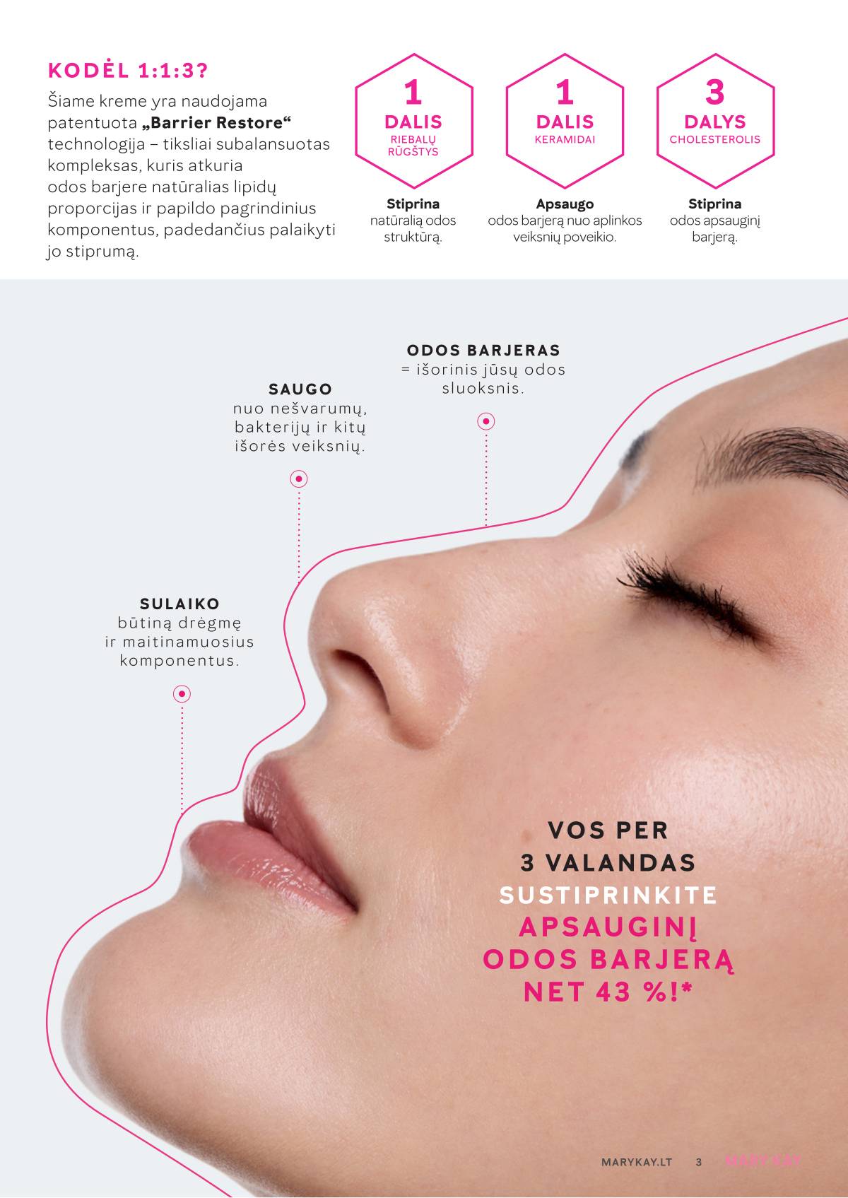 MARY KAY - 01/2026 3 puslapis