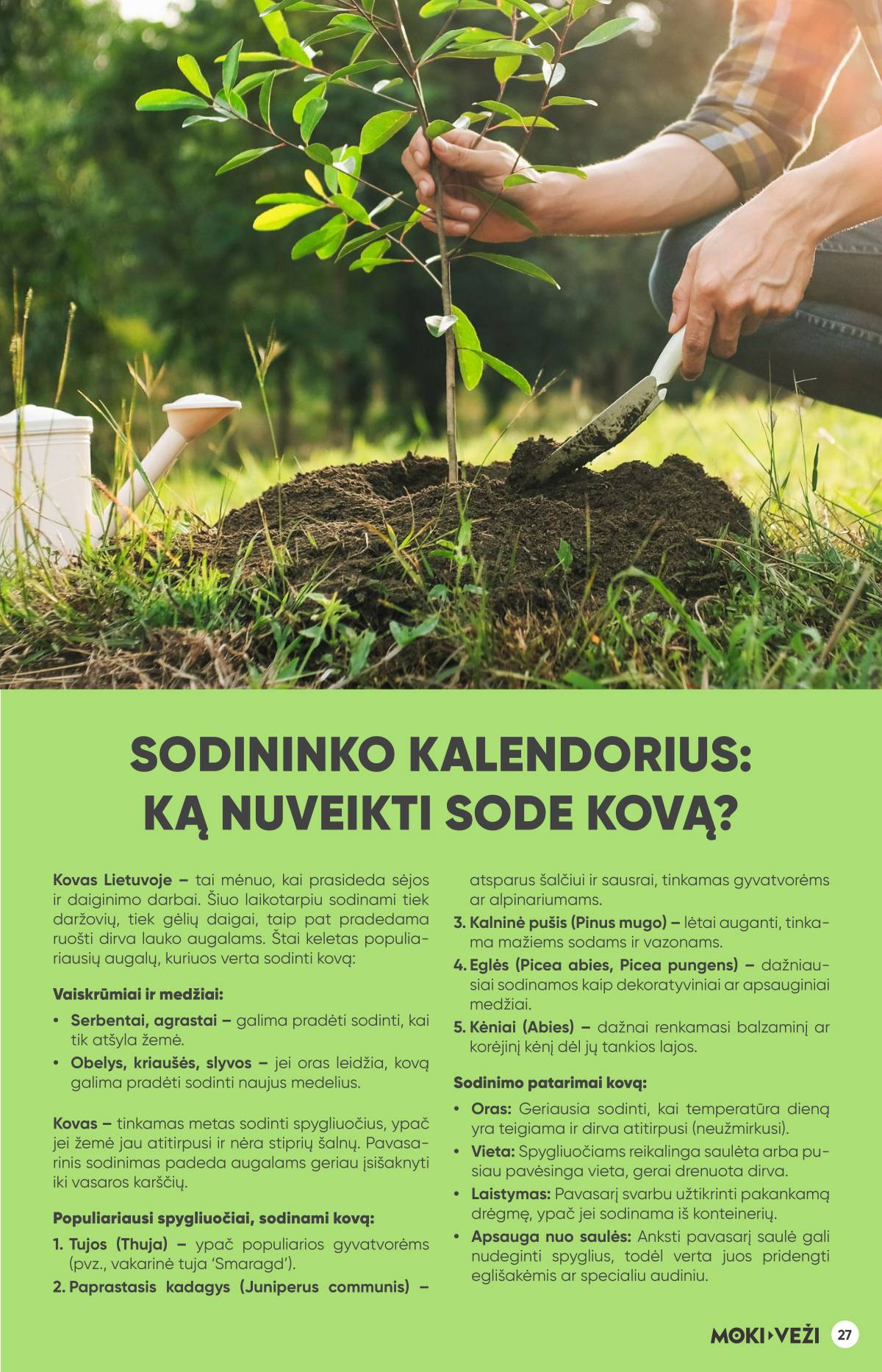 Moki-Veži - Moki-veži akcijų leidinys | 2026-03-05 - 2026-03-31 27 puslapis