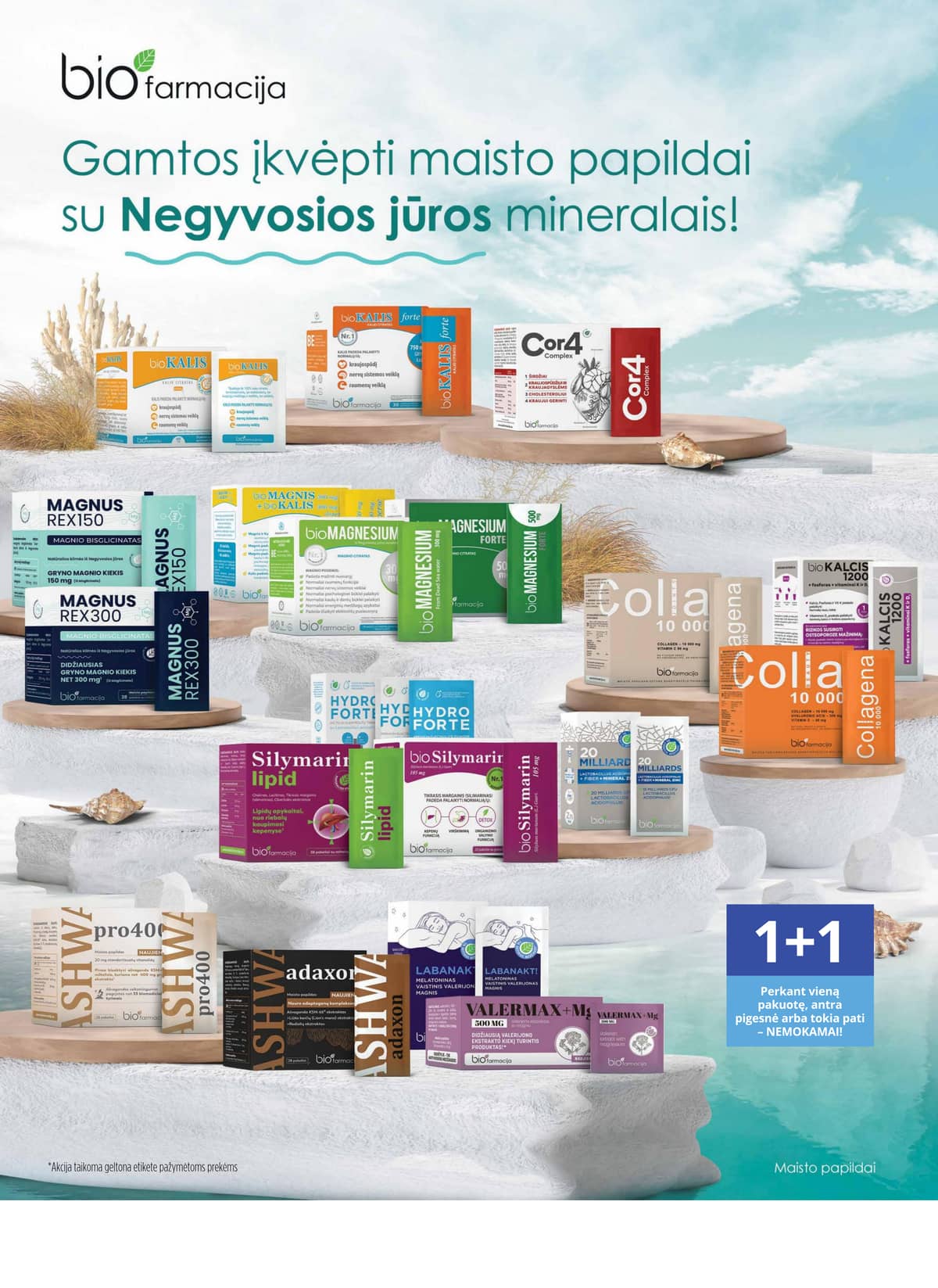 Norfa vaistinė - NORFOS VAISTINĖS vasario mėnesio leidinys 2 puslapis