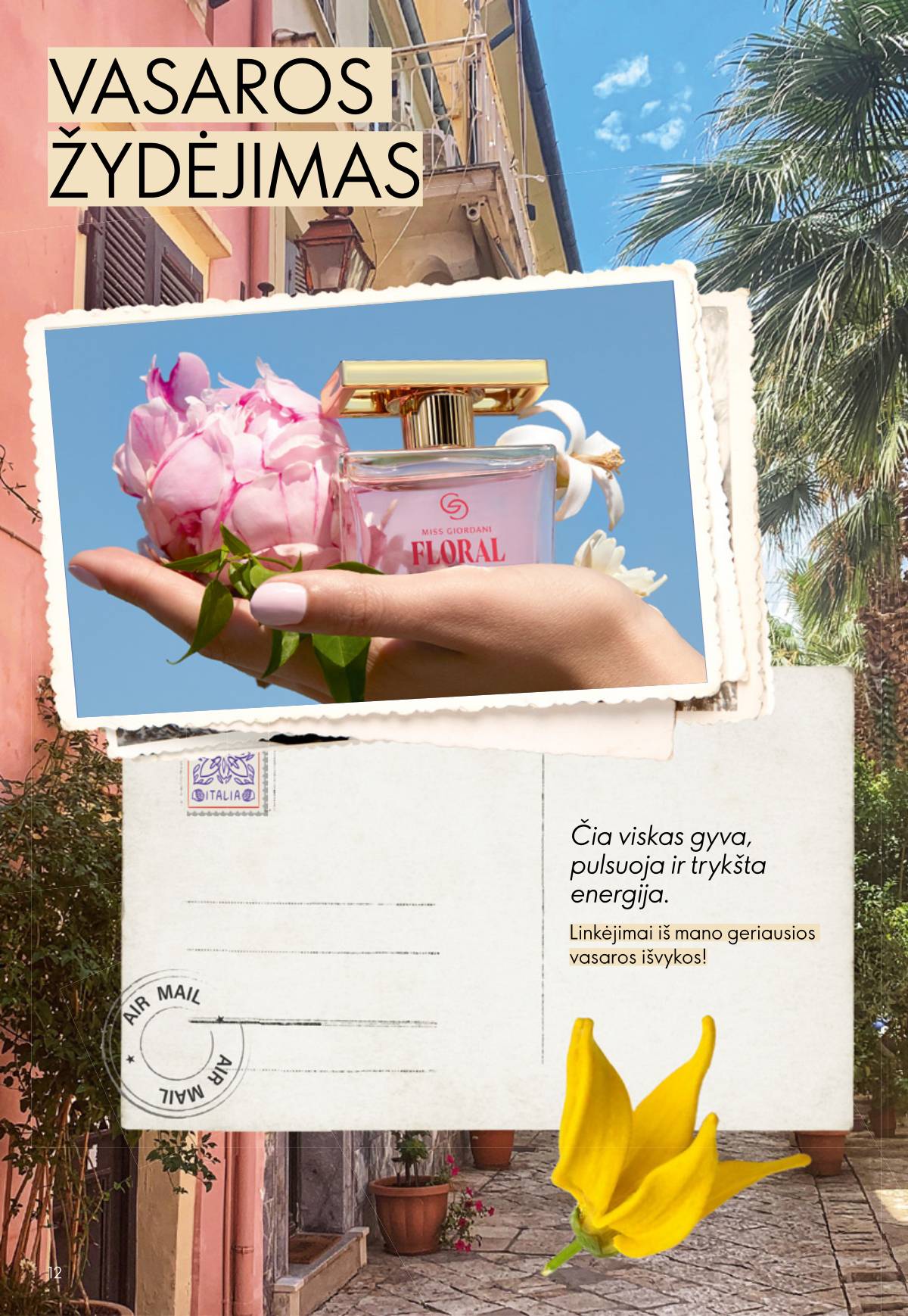 Oriflame - Oriflame kaltalogas | 2026-07-15 - 2026-08-04 12 puslapis