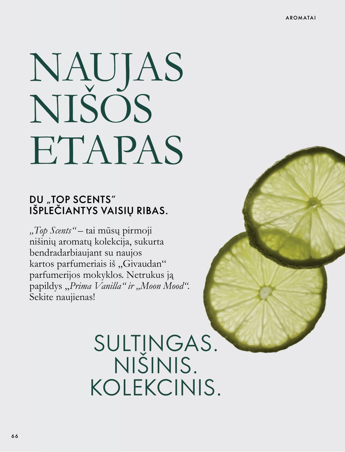 Oriflame - Oriflame akcijų katalogas 66 puslapis