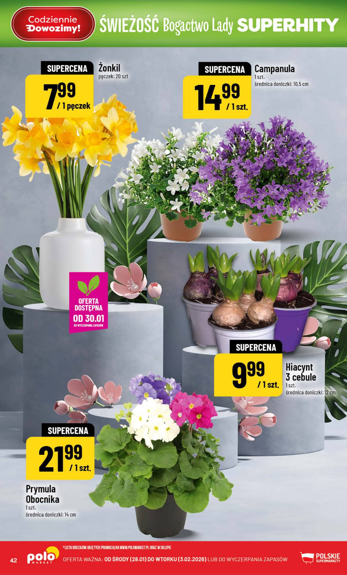 POLOmarket - Gazetka POLOmarket 42 puslapis