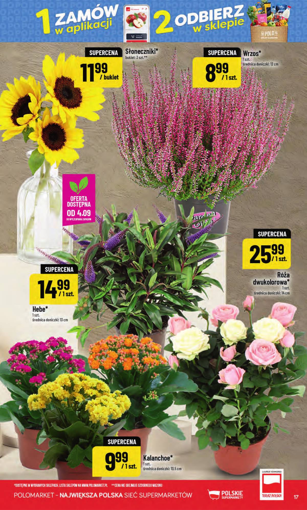 POLOmarket - Gazetka POLOmarket 17 puslapis