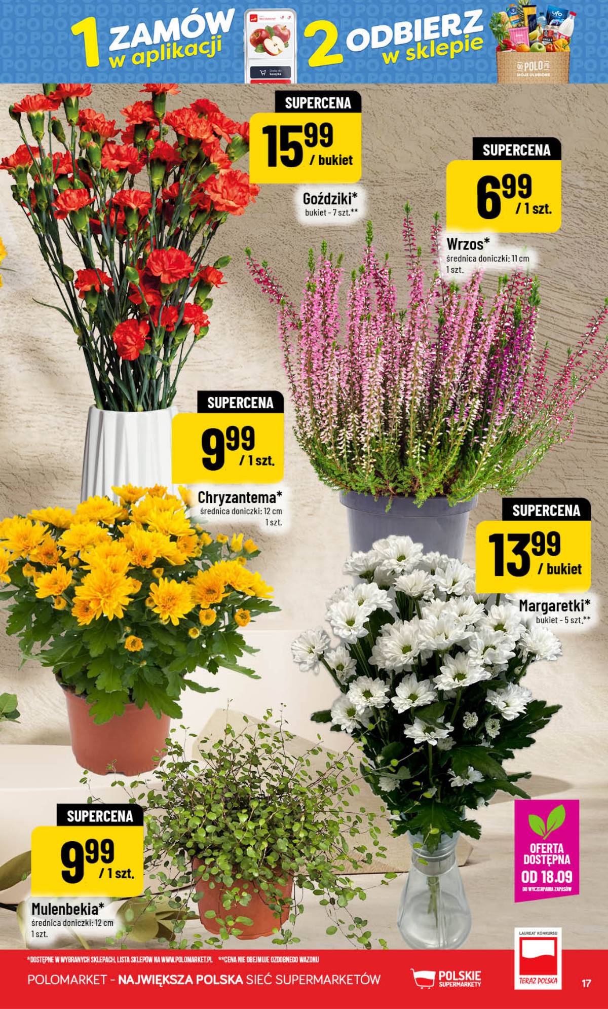 POLOmarket - Gazetka POLOmarket 17 puslapis