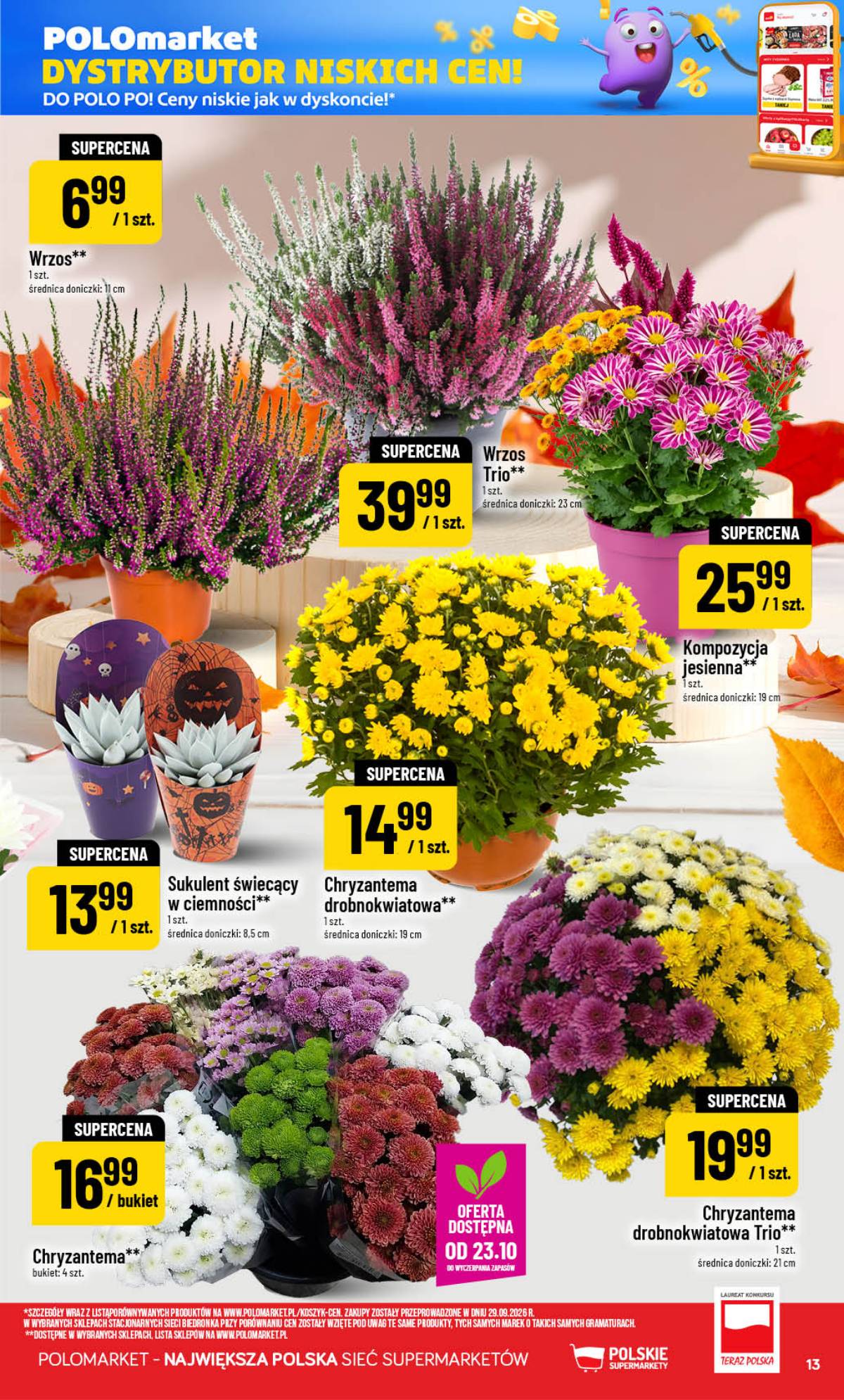 POLOmarket - Gazetka POLOmarket 11 puslapis