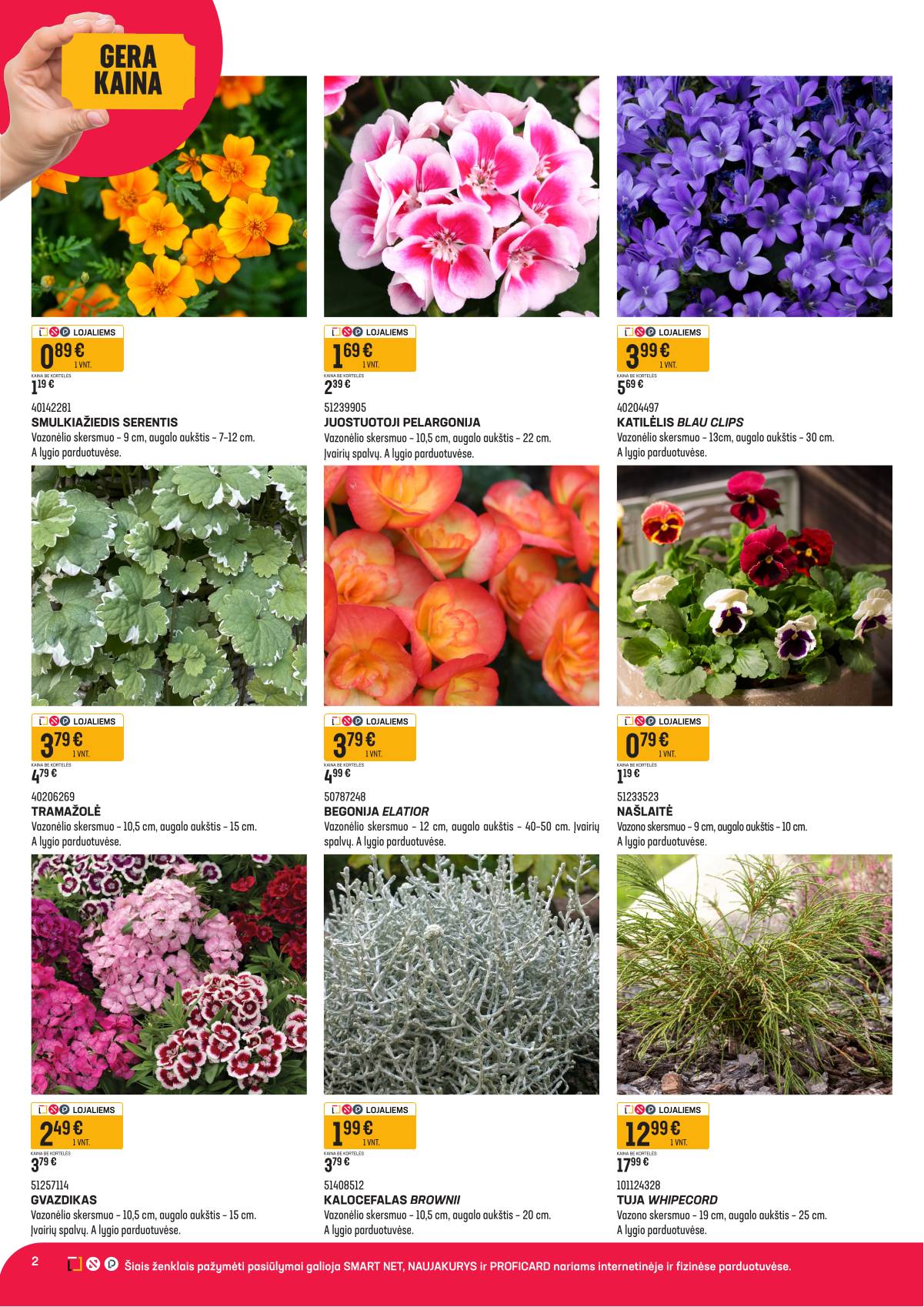 Senukai - Senukai nuolaidų katalogas Nr. 09 (686) 2 puslapis