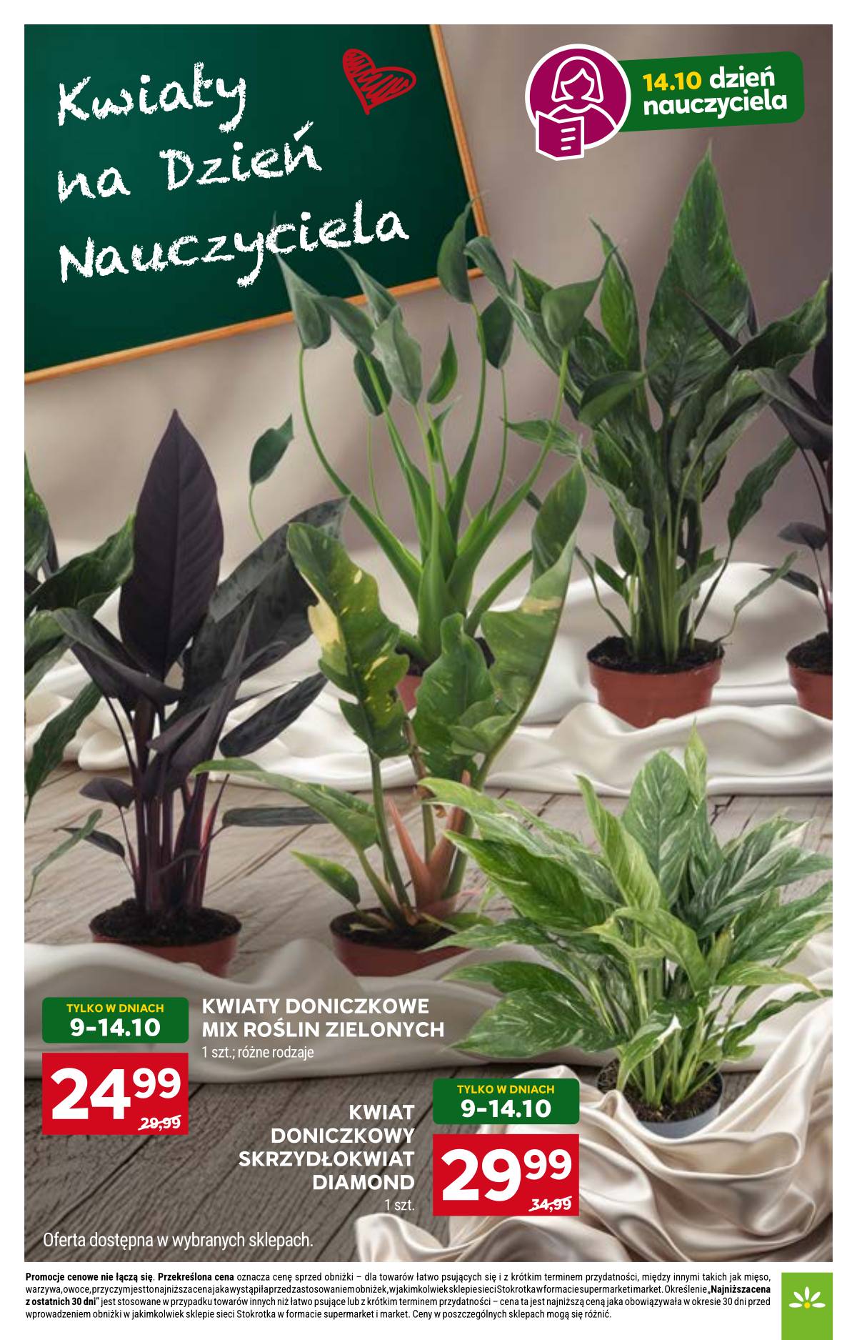 Stokrotka - Stokrotka Supermarket akcijų leidinys 8 puslapis