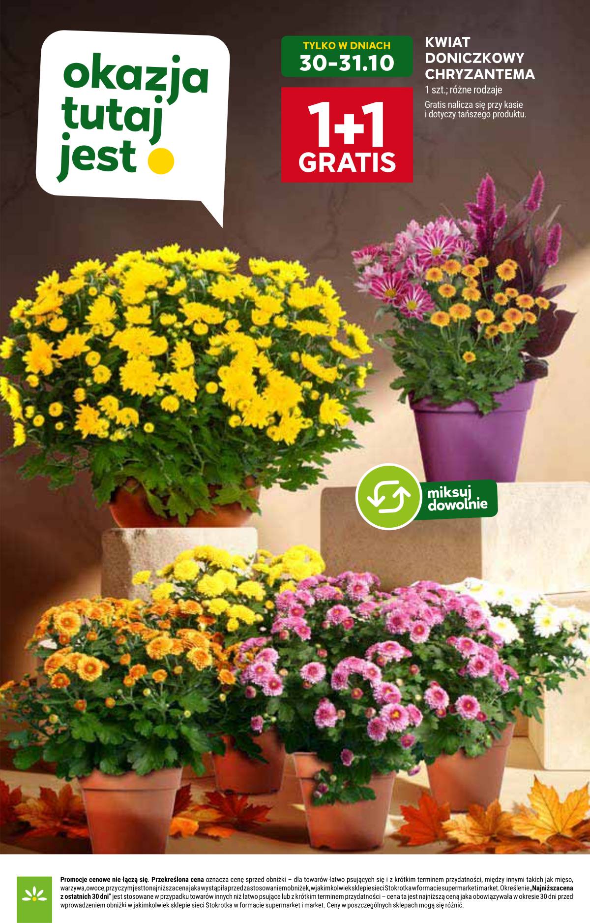 Stokrotka - Stokrotka Market akcijų leidinys 21 puslapis