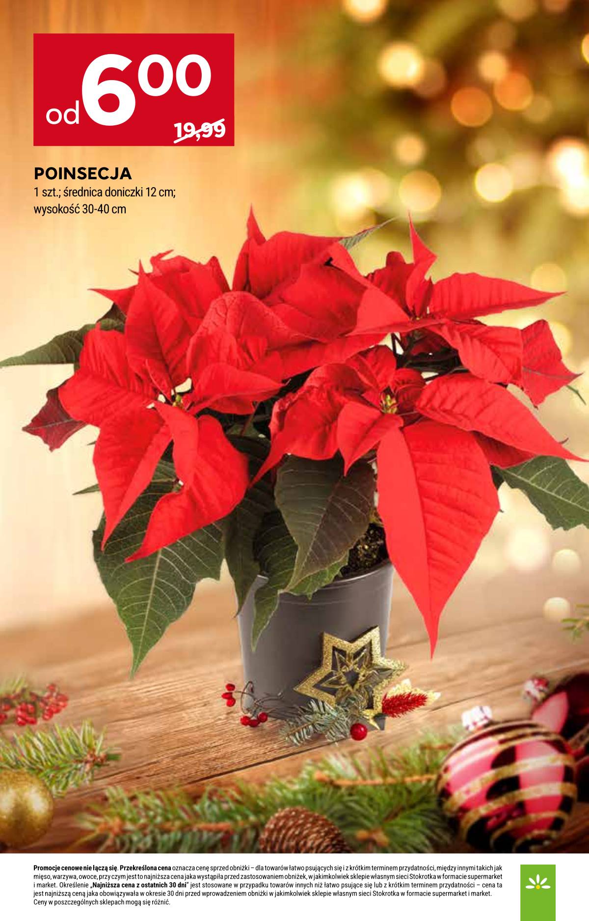 Stokrotka - Stokrotka Supermarket akcijų leidinys 49 puslapis