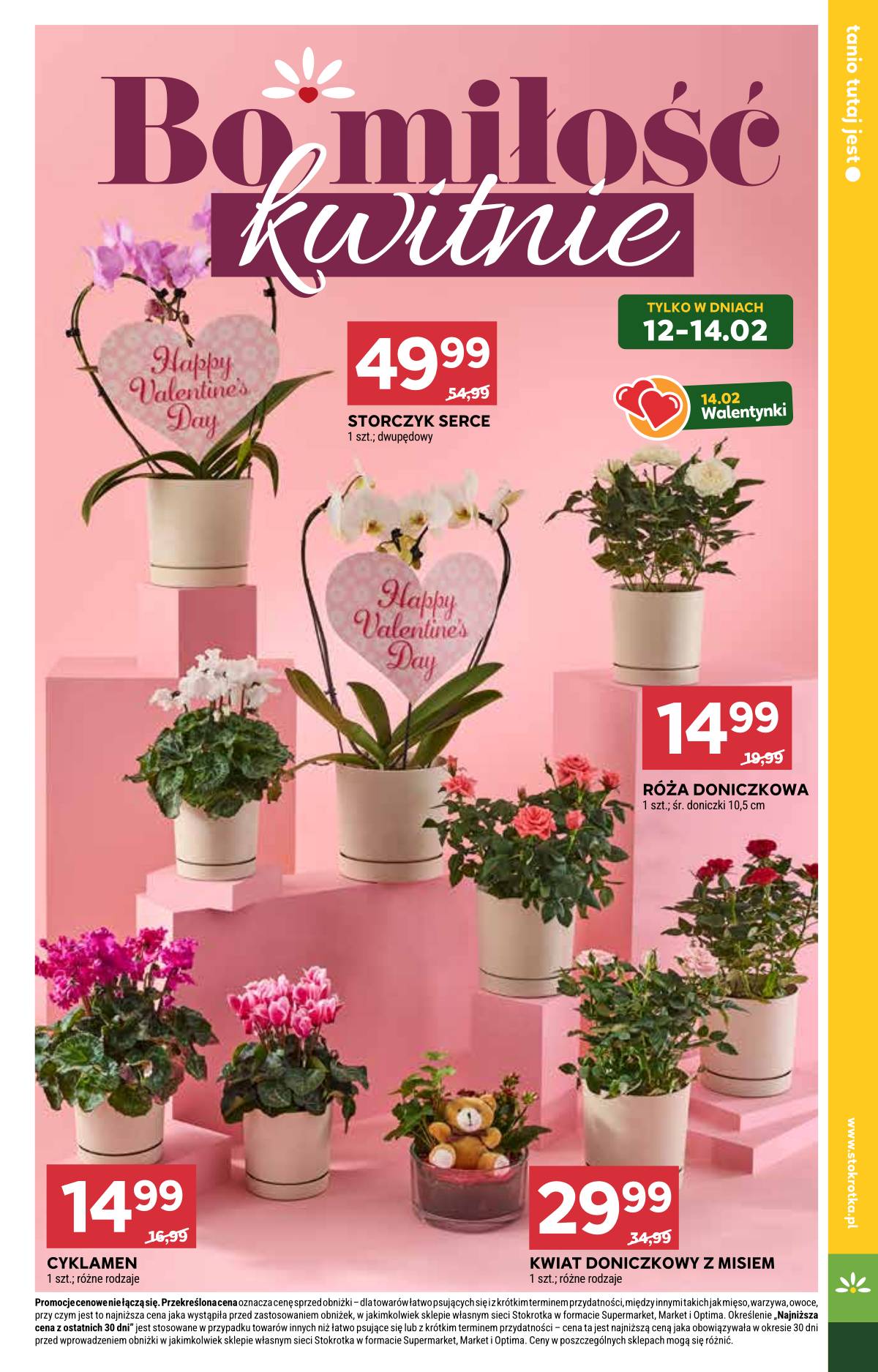 Stokrotka - Stokrotka Supermarket akcijų leidinys 9 puslapis