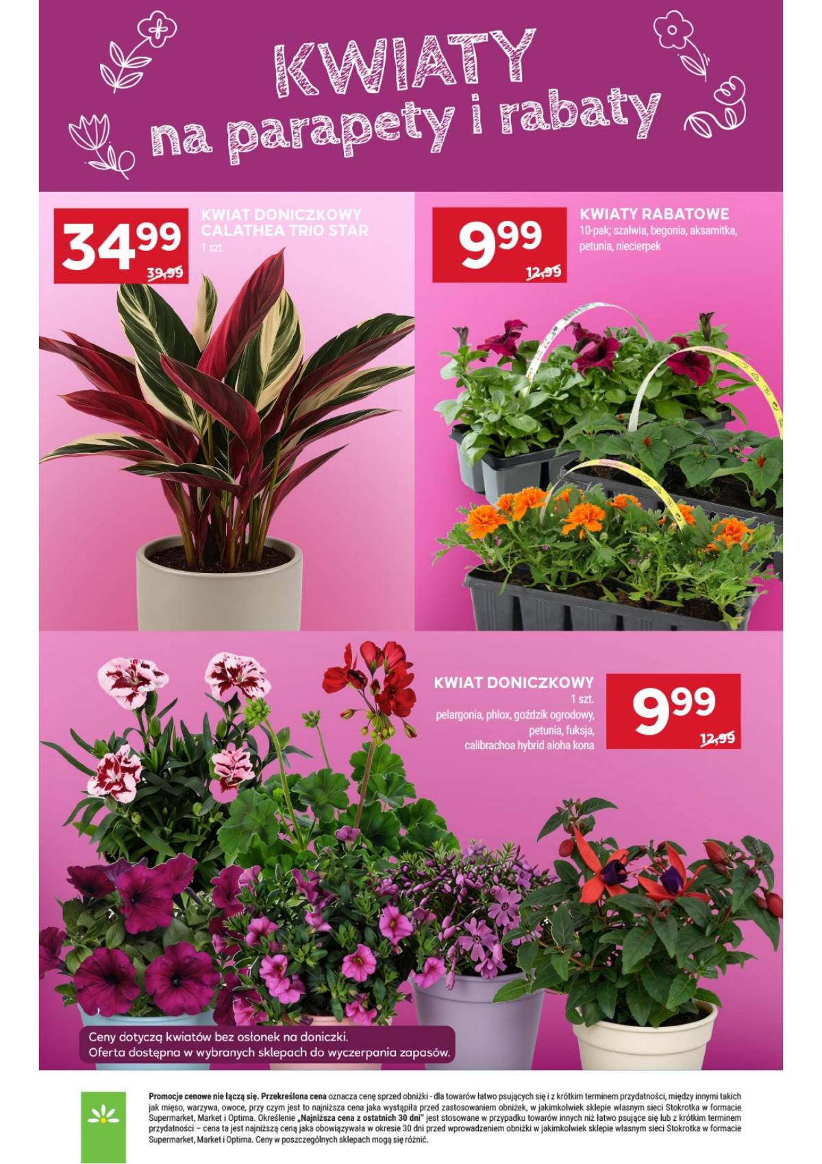 Stokrotka - Stokrotka Supermarket akcijų leidinys 24 puslapis