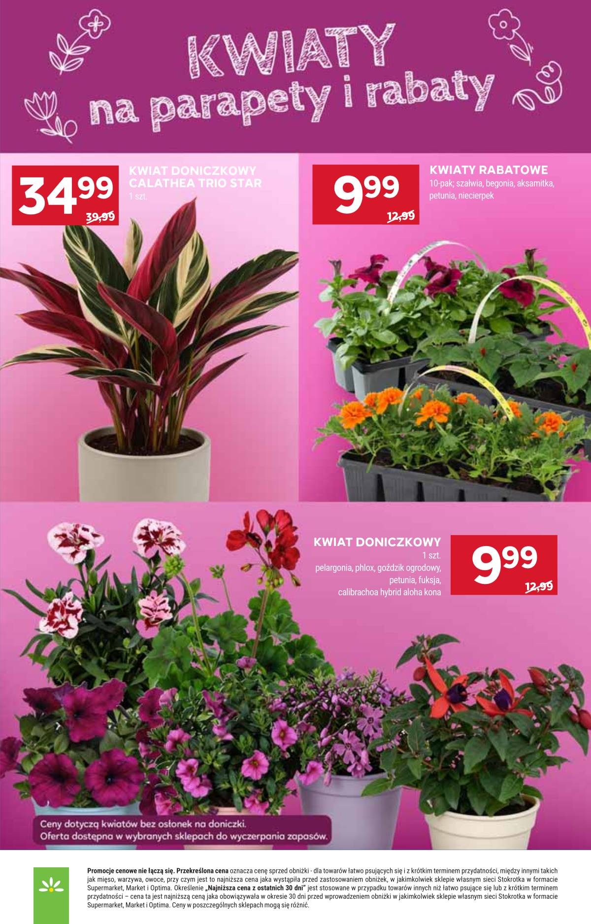 Stokrotka - Stokrotka Market akcijų leidinys 24 puslapis