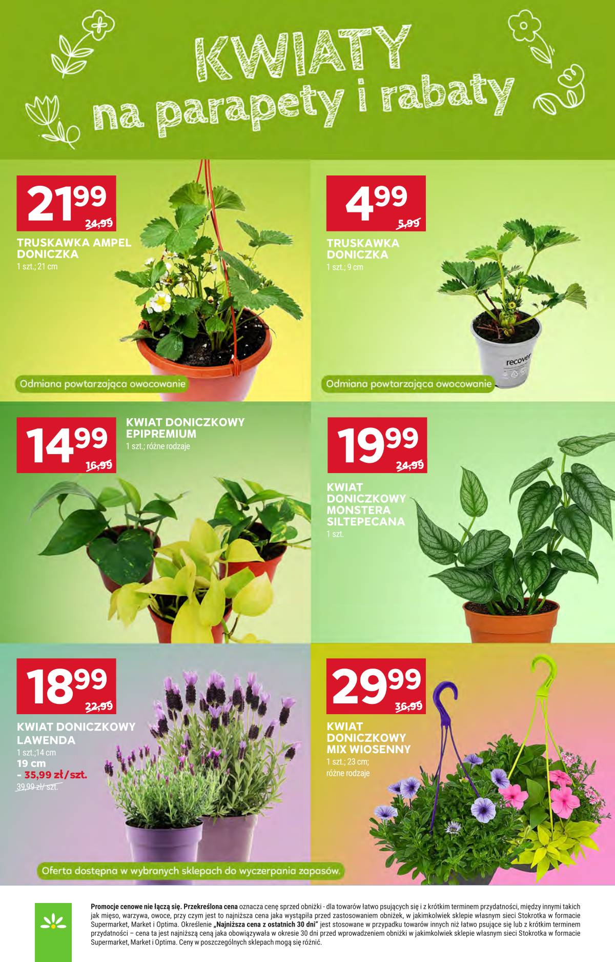 Stokrotka - Stokrotka Market akcijų leidinys 43 puslapis