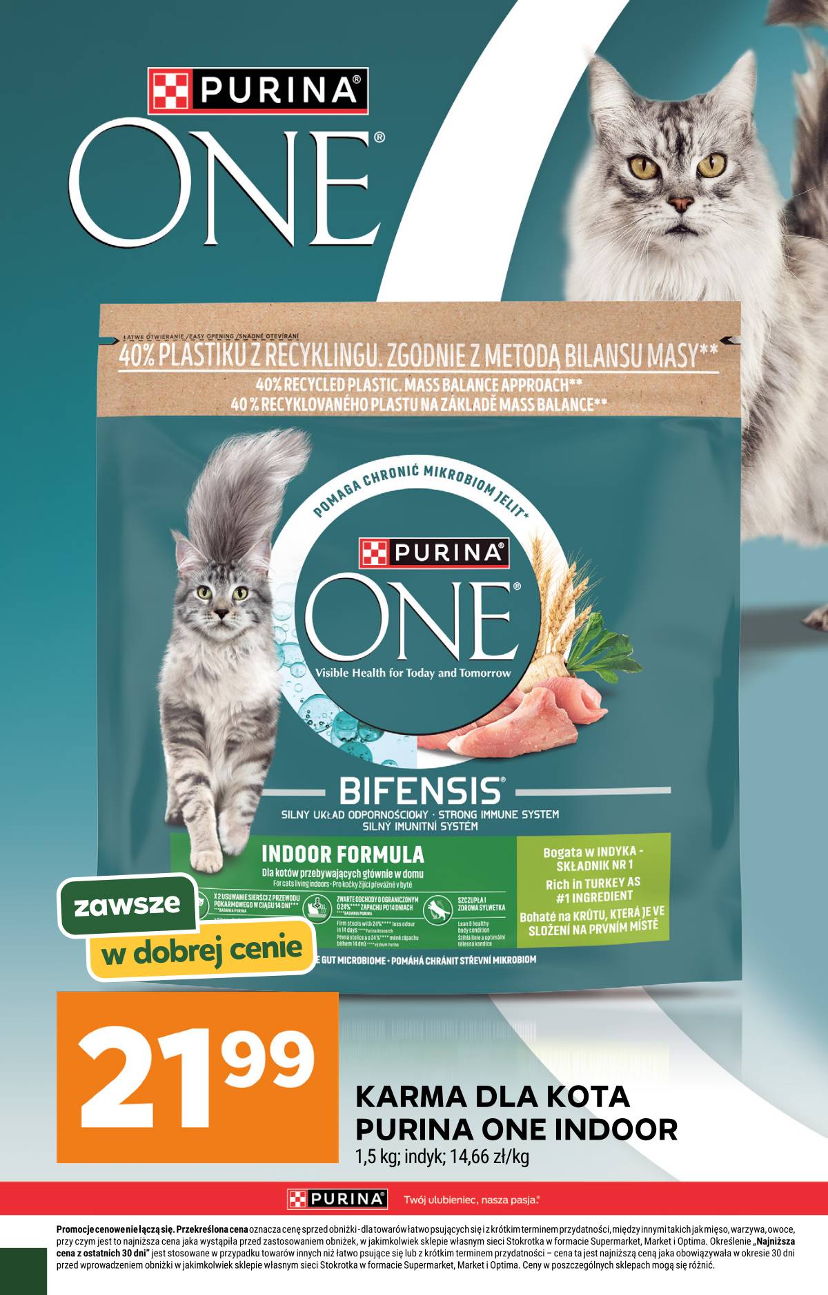 Stokrotka - Stokrotka Market akcijų leidinys 29 puslapis