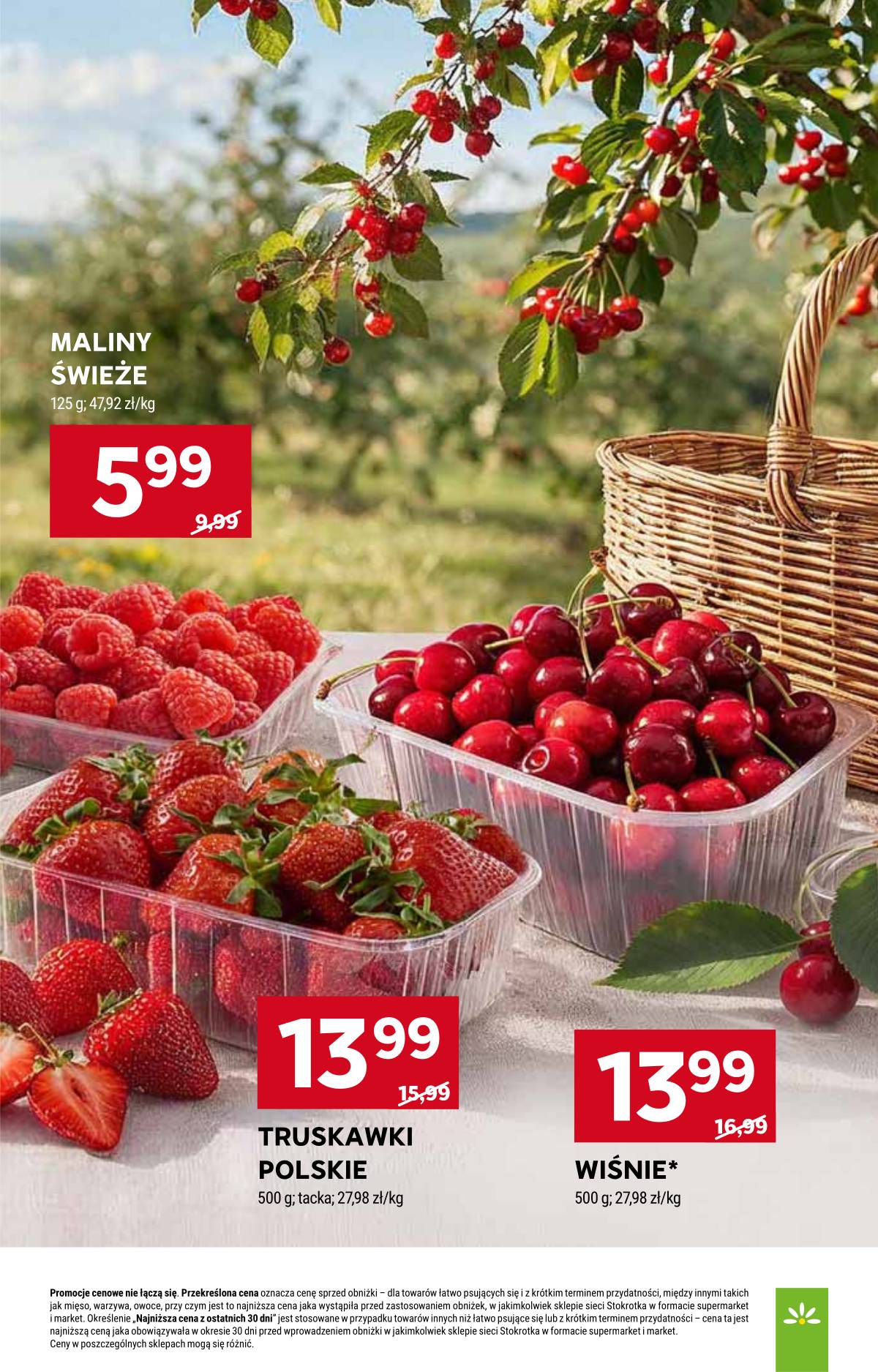 Stokrotka - Stokrotka Market akcijų leidinys 17 puslapis