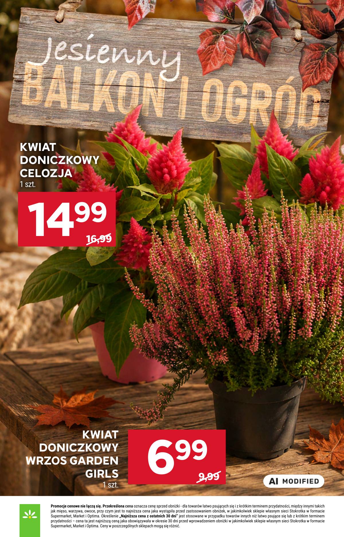 Stokrotka - Stokrotka Supermarket akcijų leidinys 62 puslapis
