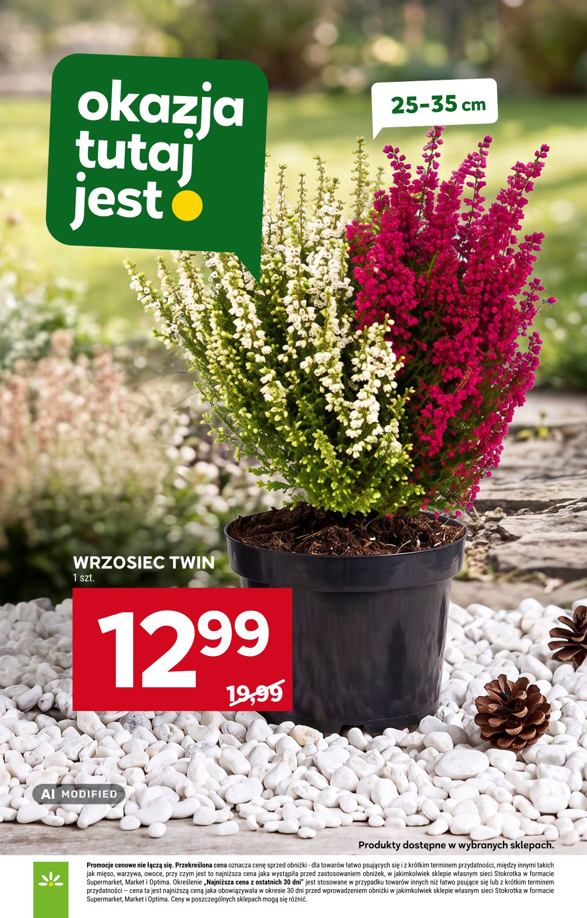 Stokrotka - Stokrotka "Market" parduotuvių akcijų leidinys 29 puslapis